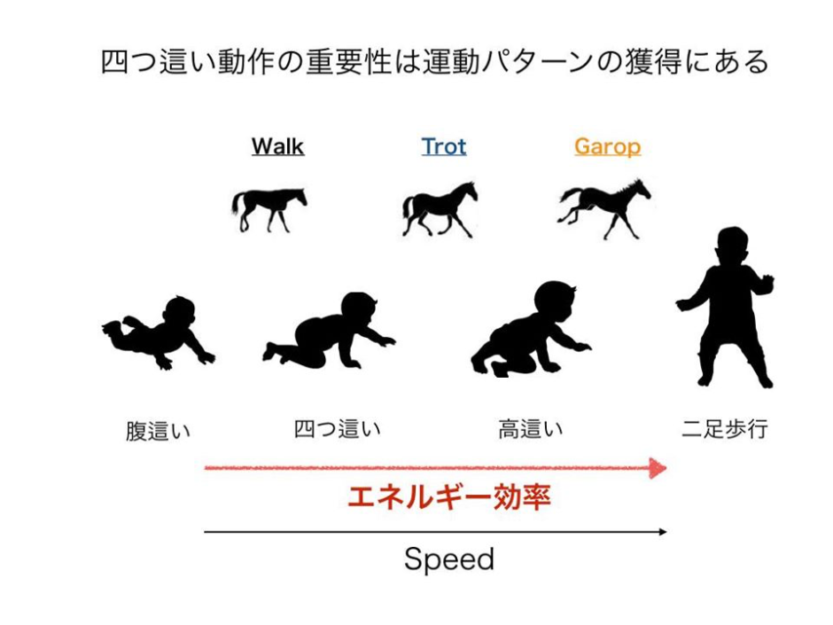 直立二足歩行 いつから _ 直立二足歩行 最古の人類 – PNFW