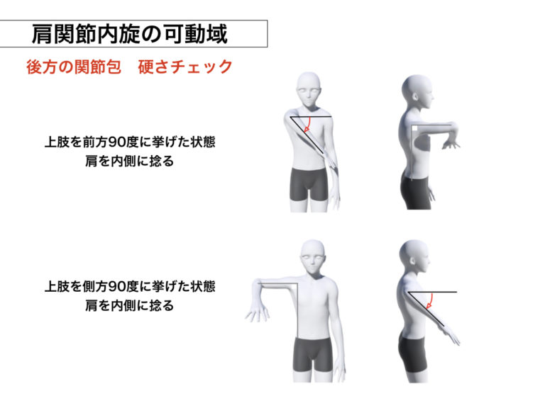 肩関節の動きを理解しよう！ movement design