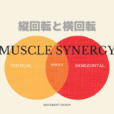 Muscle synergyと縦回転・横回転