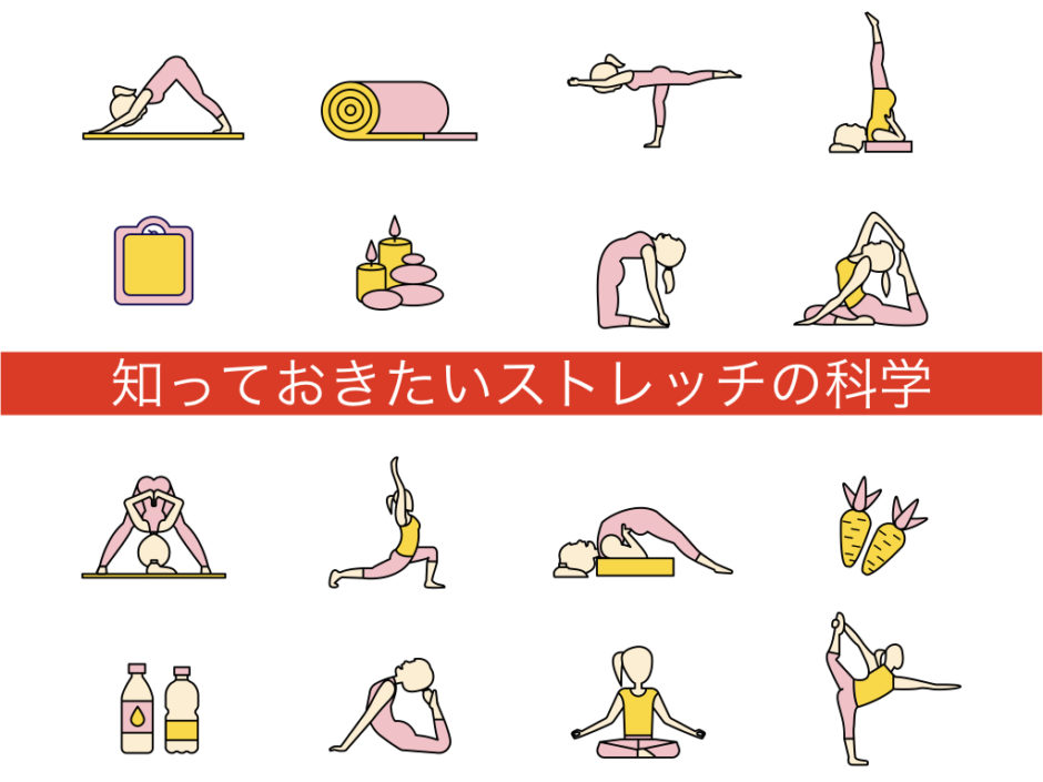 知っておきたいストレッチの科学 Movement Design