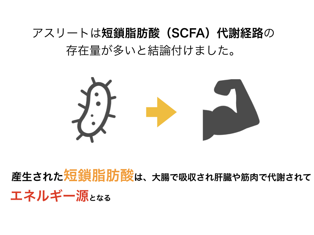 実は大切なアスリートの腸活 Movement Design