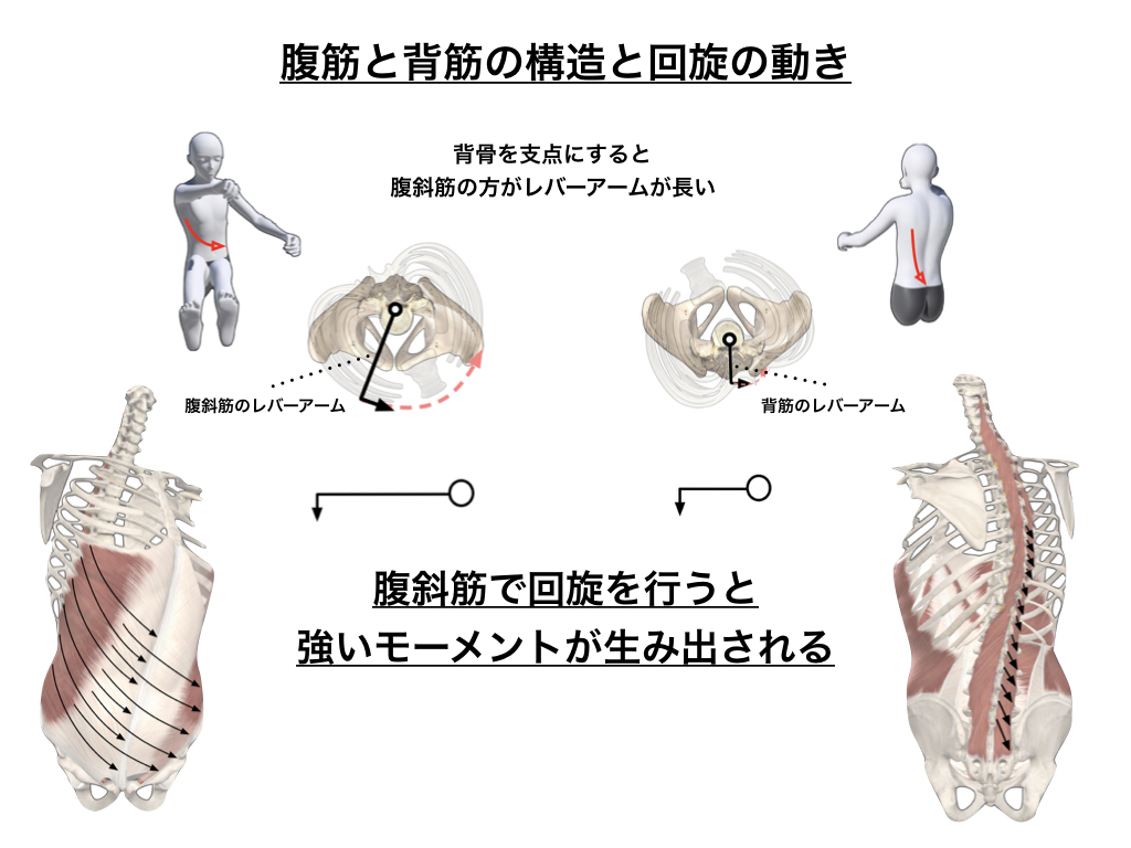 体幹を使うということ Movement Design